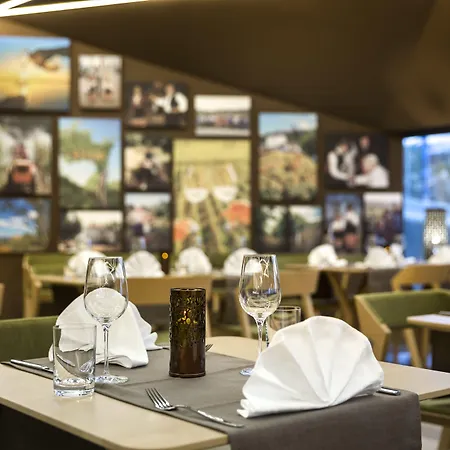 מלון Vinotel Gospoja 4*