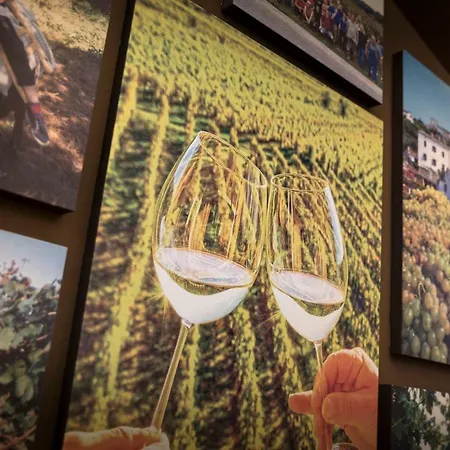 Vinotel Gospoja 비르브닉