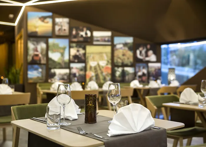 Hotel Vinotel Gospoja 4*
