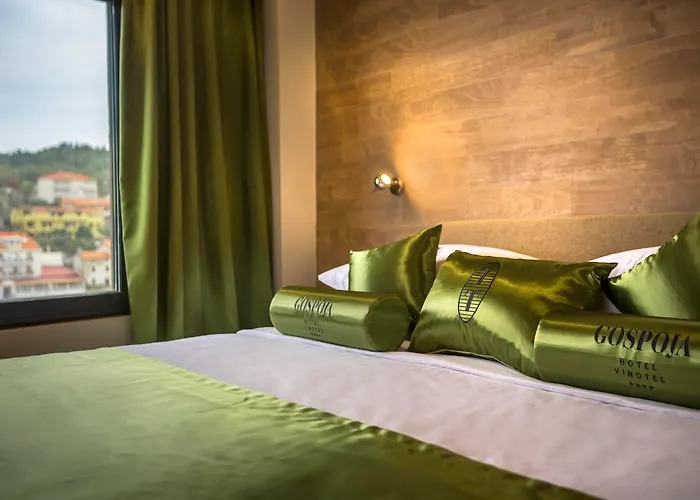 ホテル Vinotel Gospoja ヴルブニク