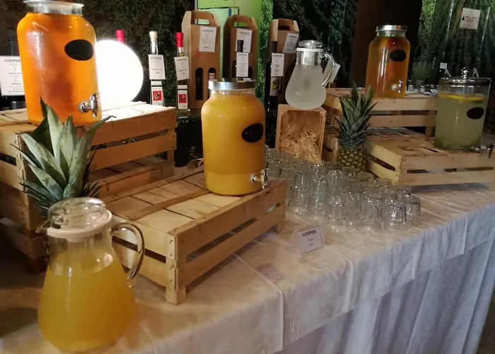 Otel Vinotel Gospoja 4*